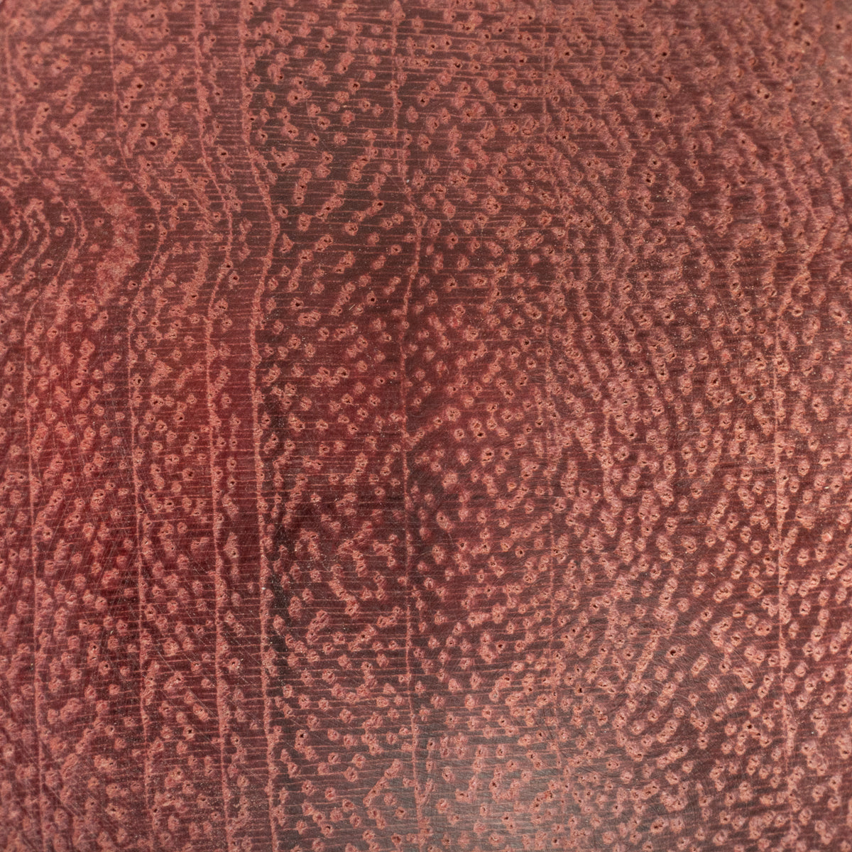 SLAYDAWG 3 KEN · PURPLE HEART